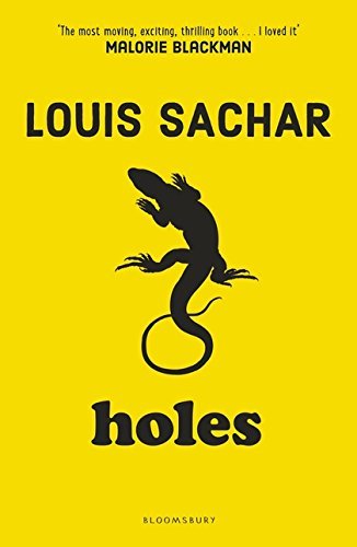 Libro Holes