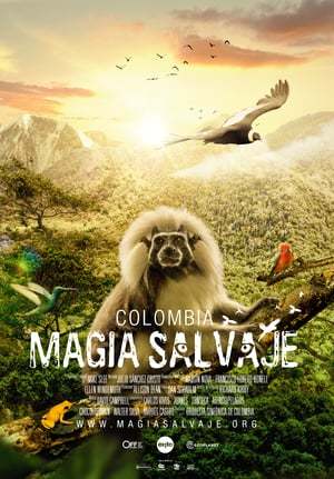 Película Colombia: Magia Salvaje