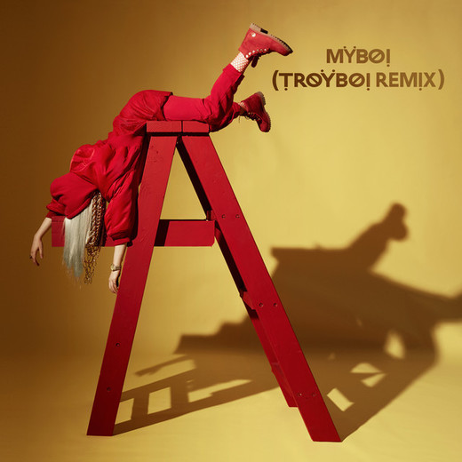 MyBoi - TroyBoi Remix