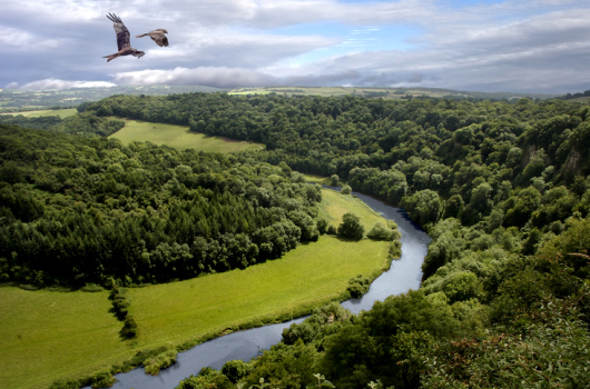 Lugar Herefordshire