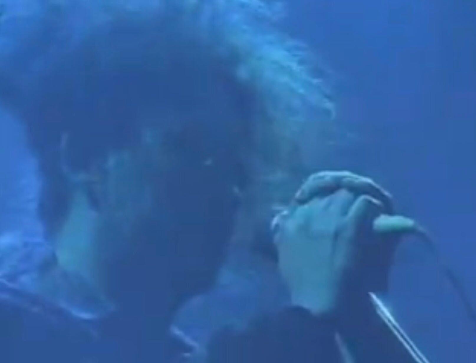 Fashion Pictures Of You - The Cure - YouTube