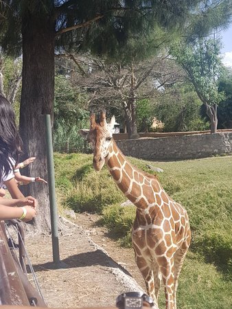 Place Zoológico Guadalajara