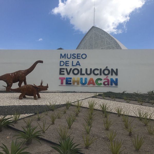 Lugar Museo De La Evolución Tehuacán