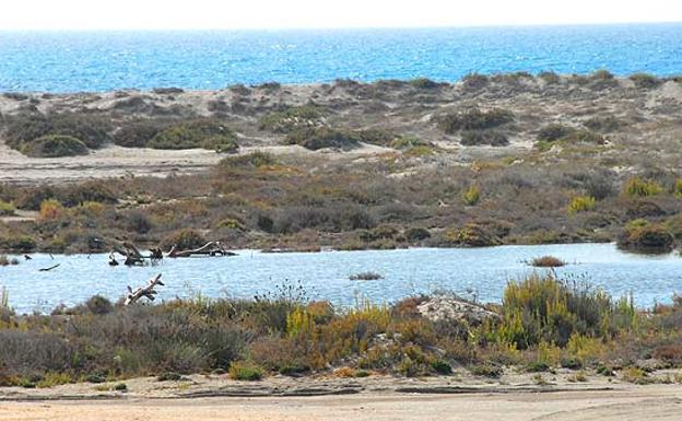 Lugar Punta Entinas-Sabinar