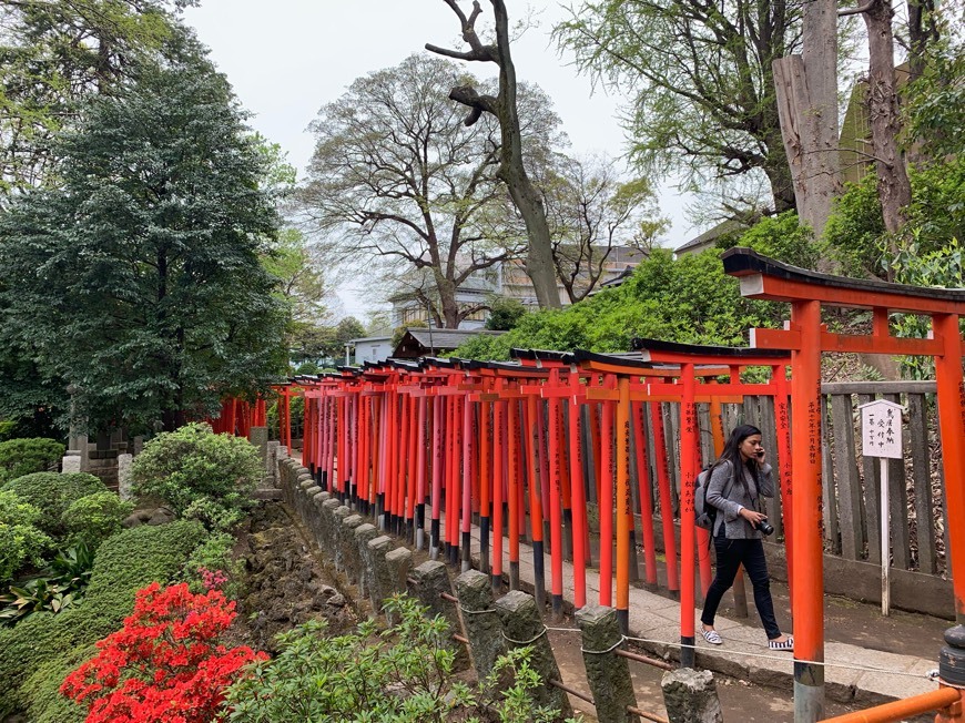 Place Nezu Shrine