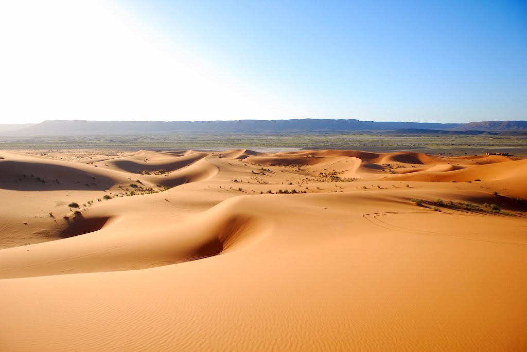 Sahara Salvaje
