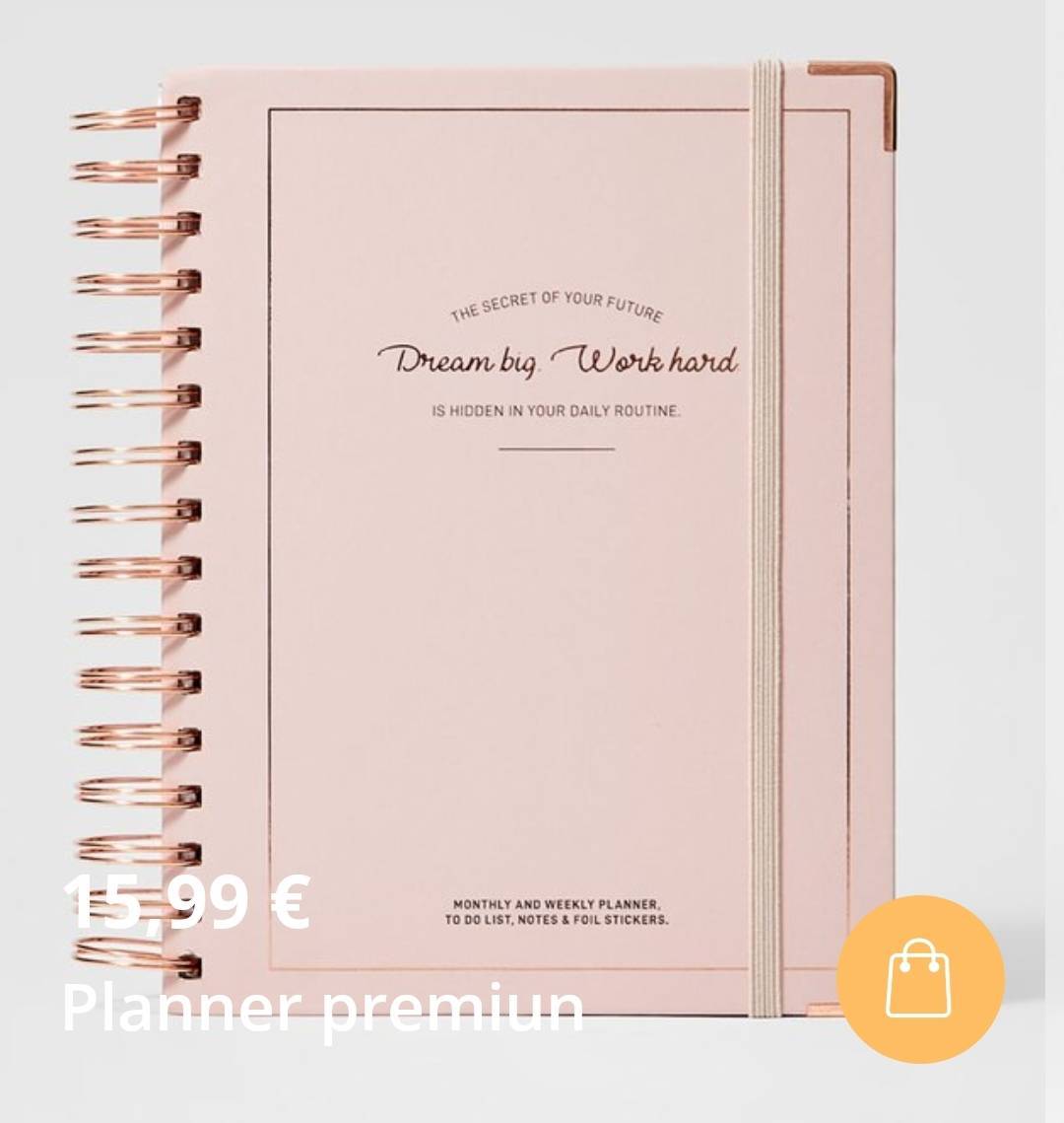 Product Planner de Stradivarius 