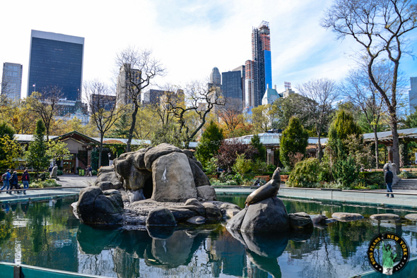 Place Zoológico de Central Park