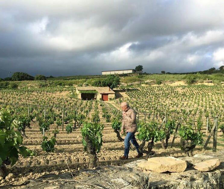 Fashion Bodegas y Viñedos Artadi |