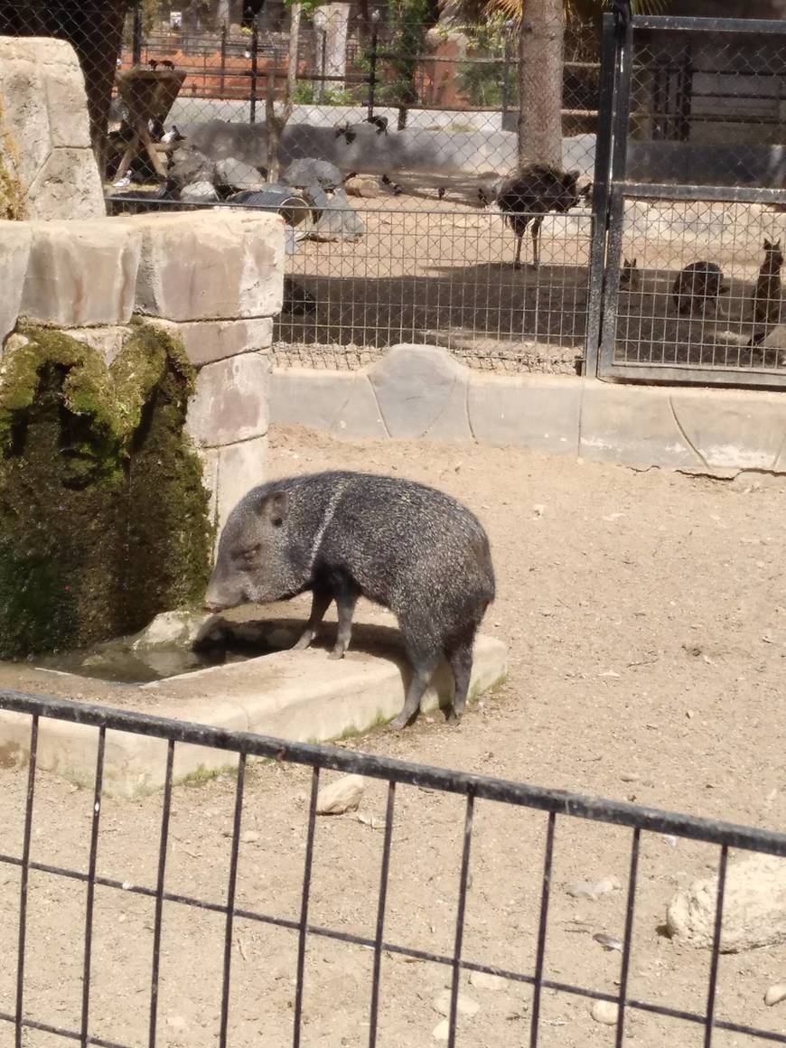 Places Zoo Cordoba