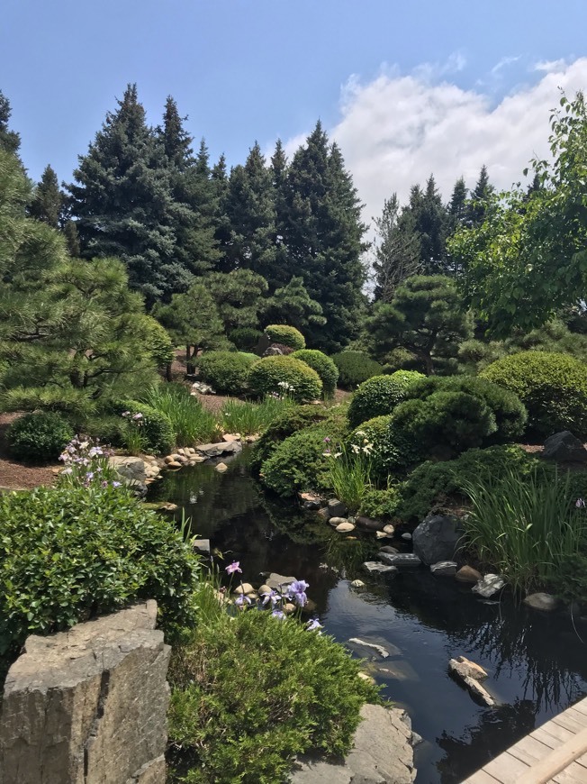 Place Jardín Botánico de Denver