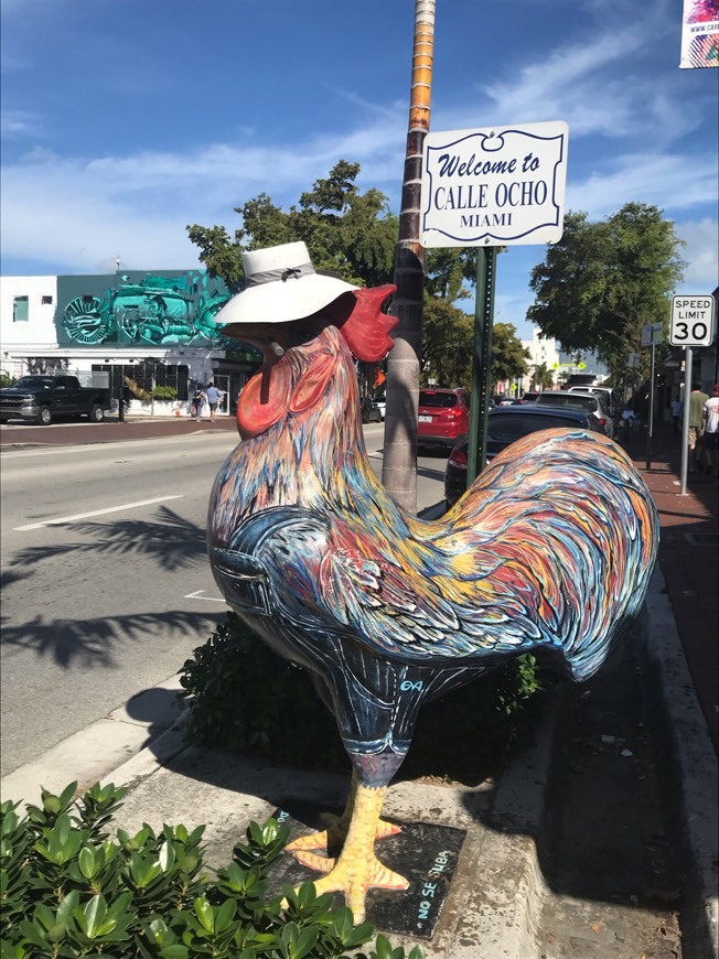 Place Little Havana