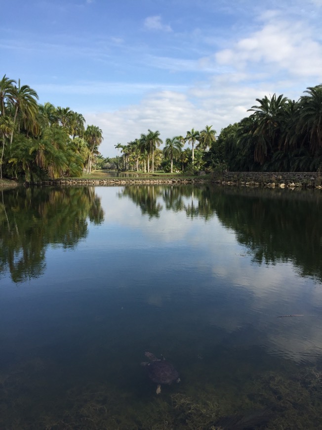 Lugar Fairchild Tropical Botanic Garden