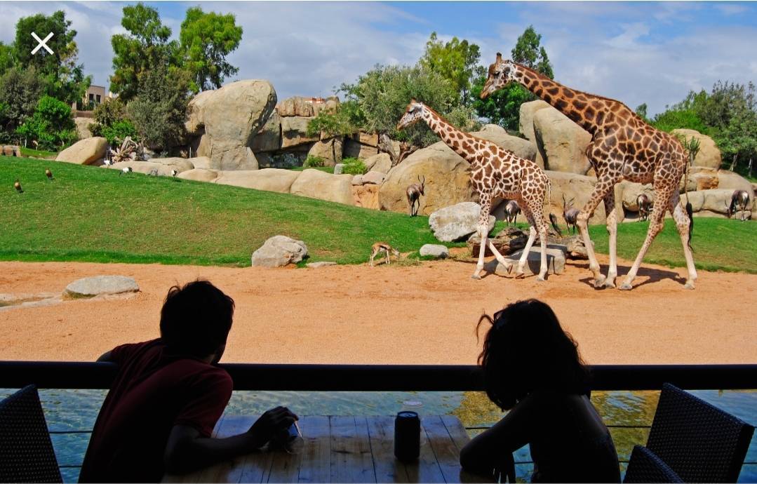 Place BIOPARC Valencia - Uno de los mejores parques de animales del ...