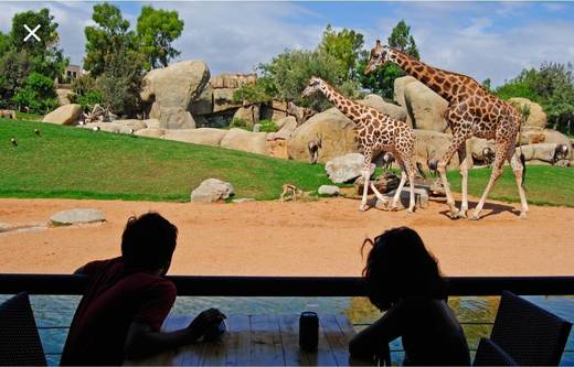 BIOPARC Valencia - Uno de los mejores parques de animales del ...