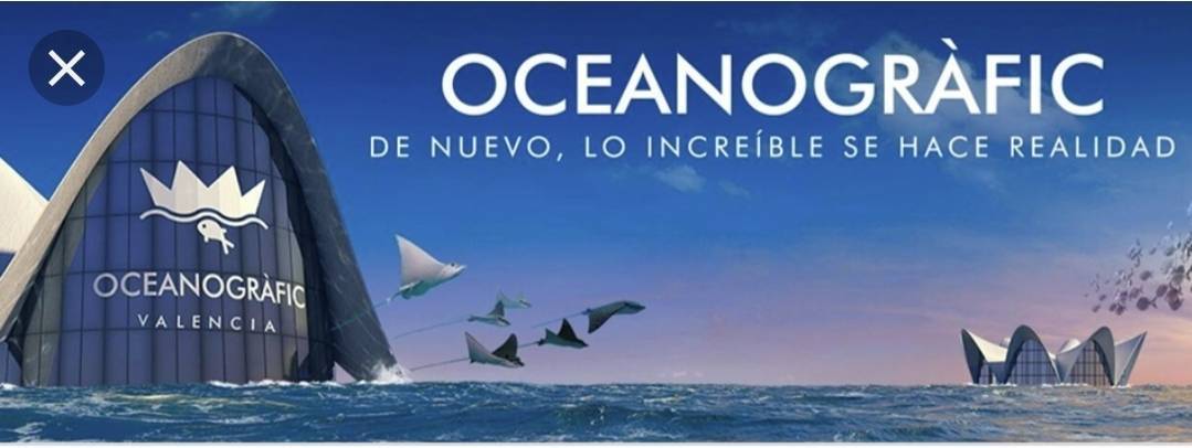 Place ENTRADAS – Oceanogràfic de Valencia