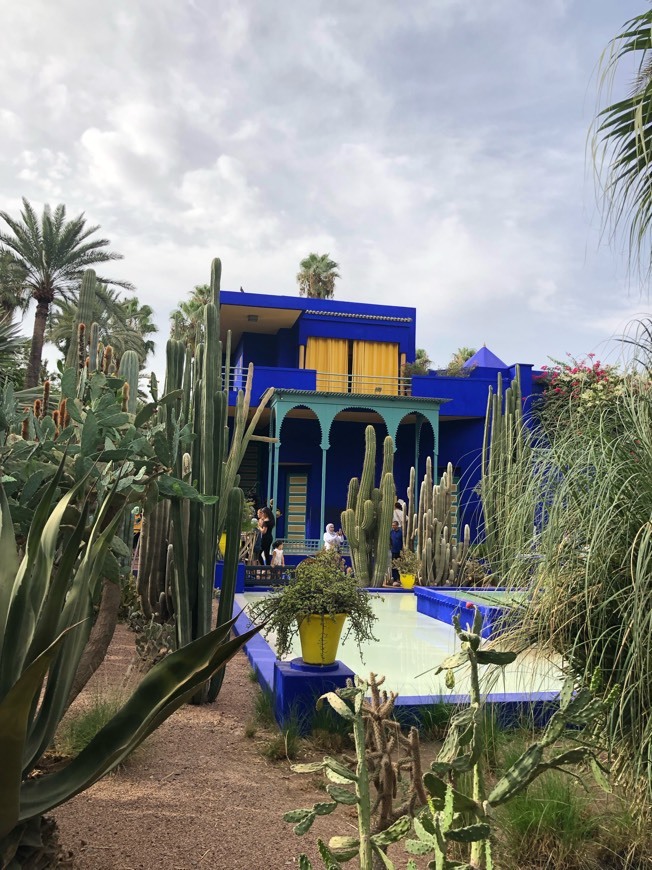 Lugar Jardín Majorelle