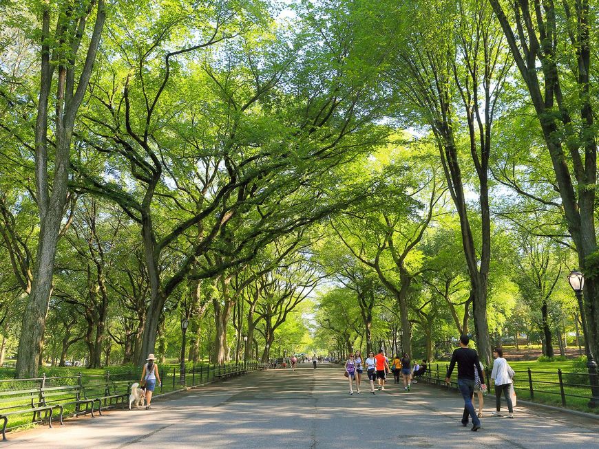 Lugar Central Park