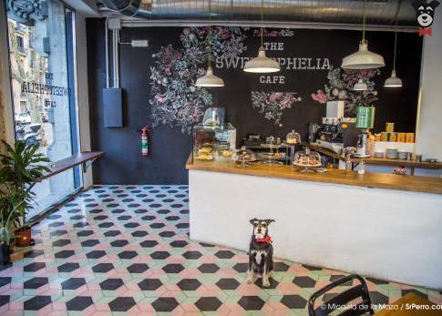 Restaurantes The Sweetophelia Cafe