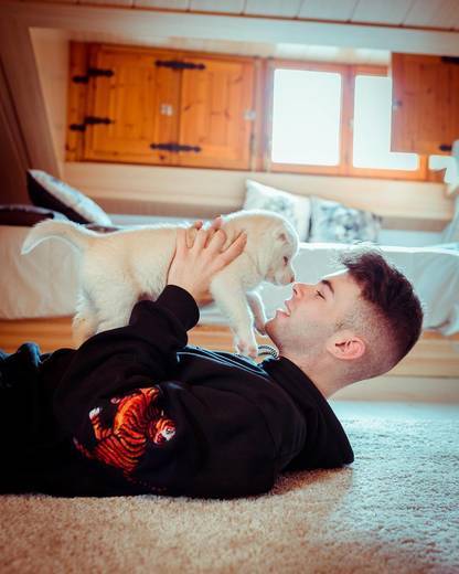 Social Productos para perros