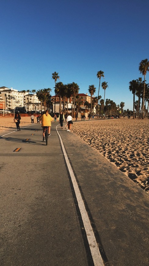 Place Venice Beach