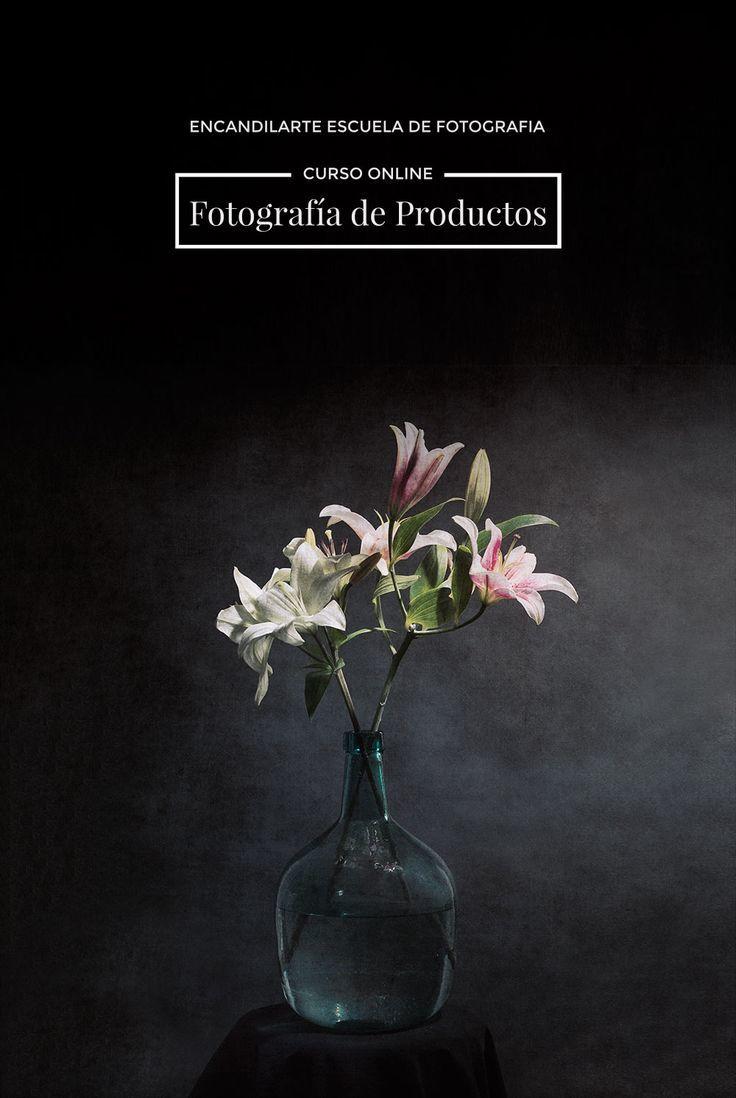 Moda Encandilarte Escuela Online de Fotografía » encandilarte