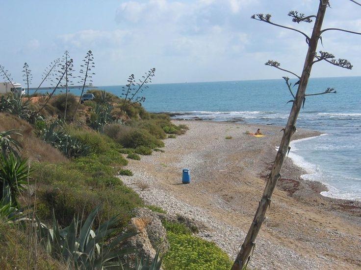 Moda Playa de Torrenostra - Wikipedia, la enciclopedia libre