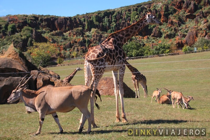 Lugar Parque de la Naturaleza de Cabárceno