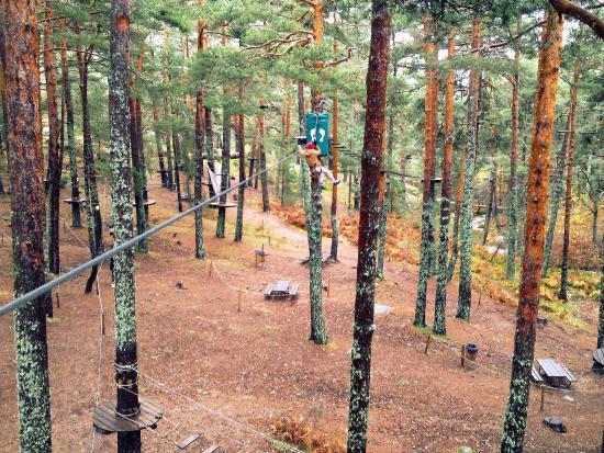 Lugar Aventura Amazonia - Parque multiaventura. Tirolinas. Actividades niños, despedidas, colegios