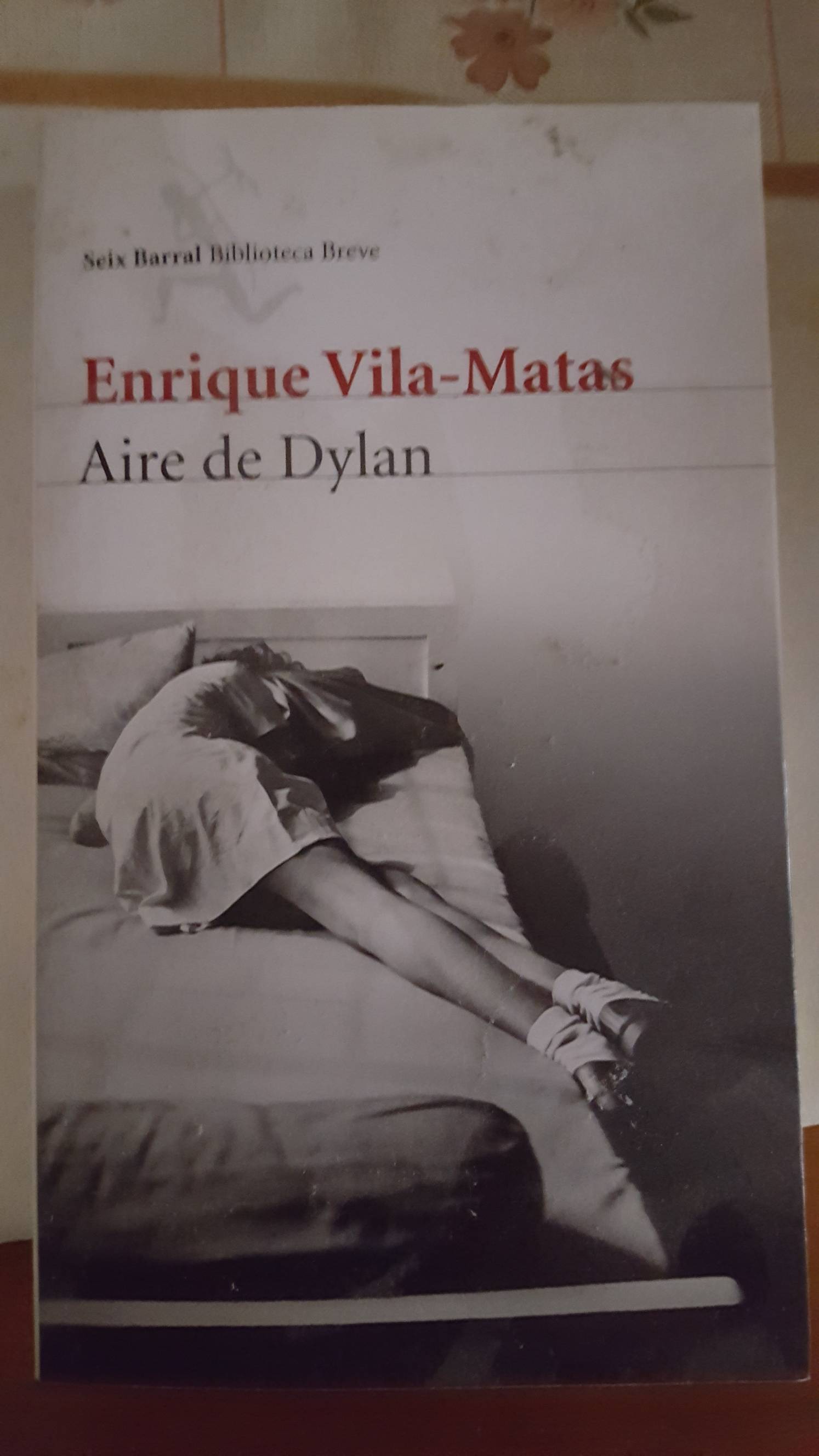 Aire de Dylan