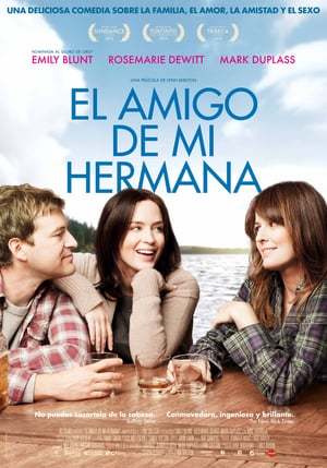 Movie El amigo de mi hermana