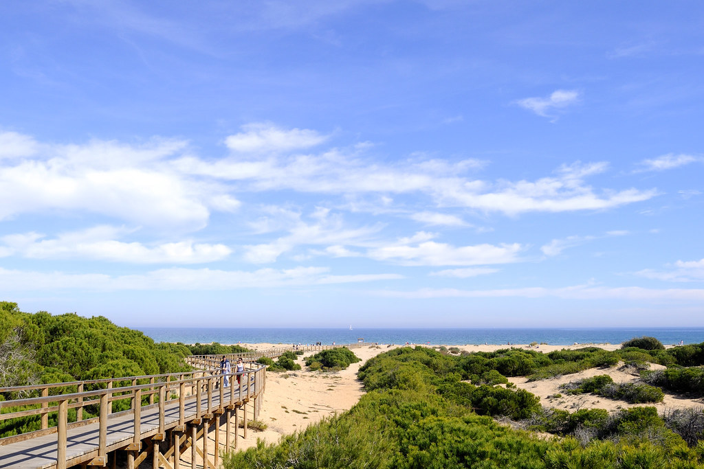 Place Playa Del Carabassí