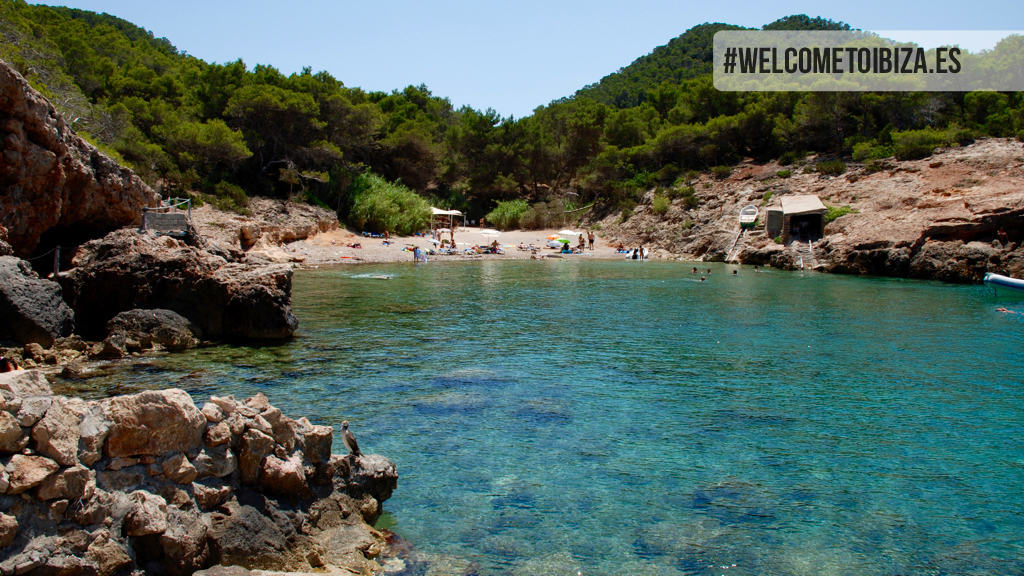 Place Cala Xuclar