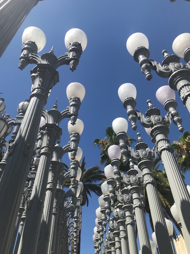 Place LACMA Way