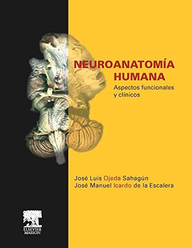 Book Neuroanatomía Humana de J.L. Ojeda