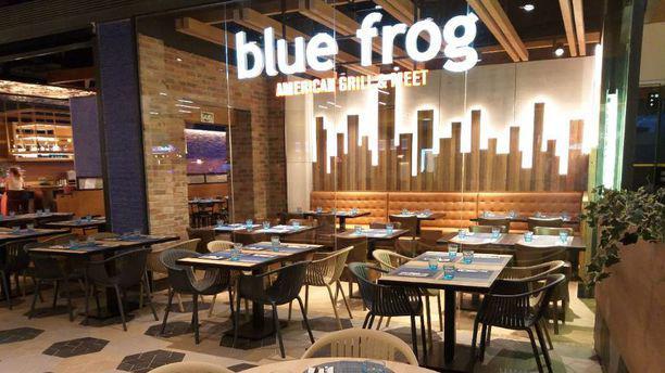 Restaurants Blue Frog American Grill