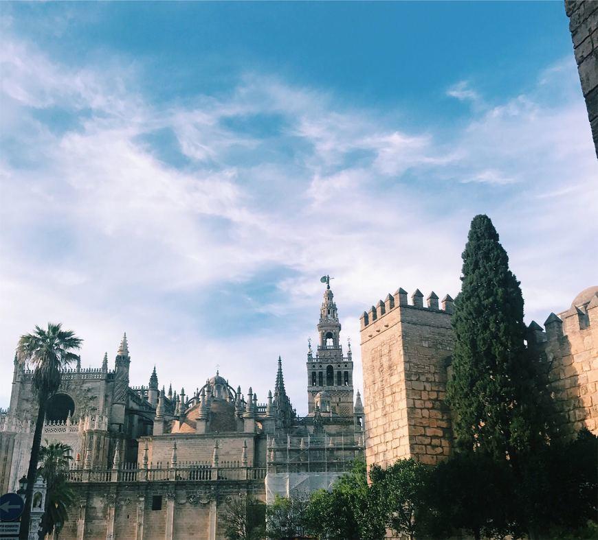 Restaurants Sevilla