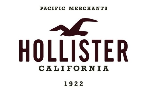 Hollister Co. Carpe Now | Clothing for Guys and Girls