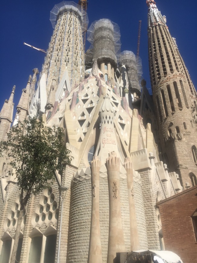 Lugar SAGRADA FAMÍLIA