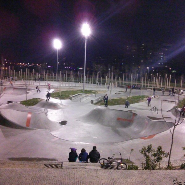 Place Skatepark Madrid Río