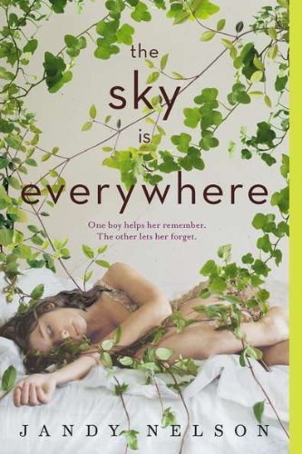 Book The Sky Is Everywhere