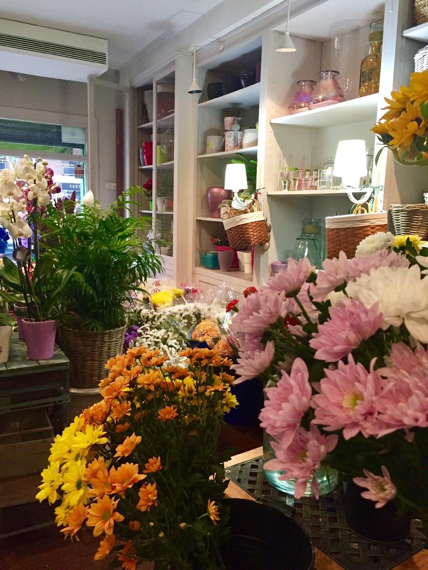 Social Flores Hierbabuena