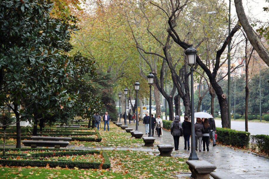 Place Paseo del Prado