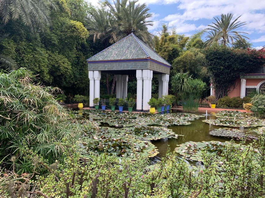 Lugar Jardín Majorelle