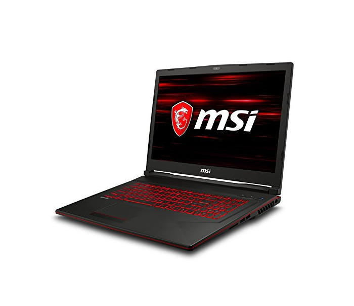 Electronic MSI GL73 8RC-020XES - Ordenador portátil Gaming de 17.3" Full HD (Coffeelake