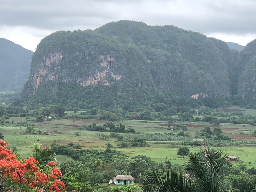 Place Viñales