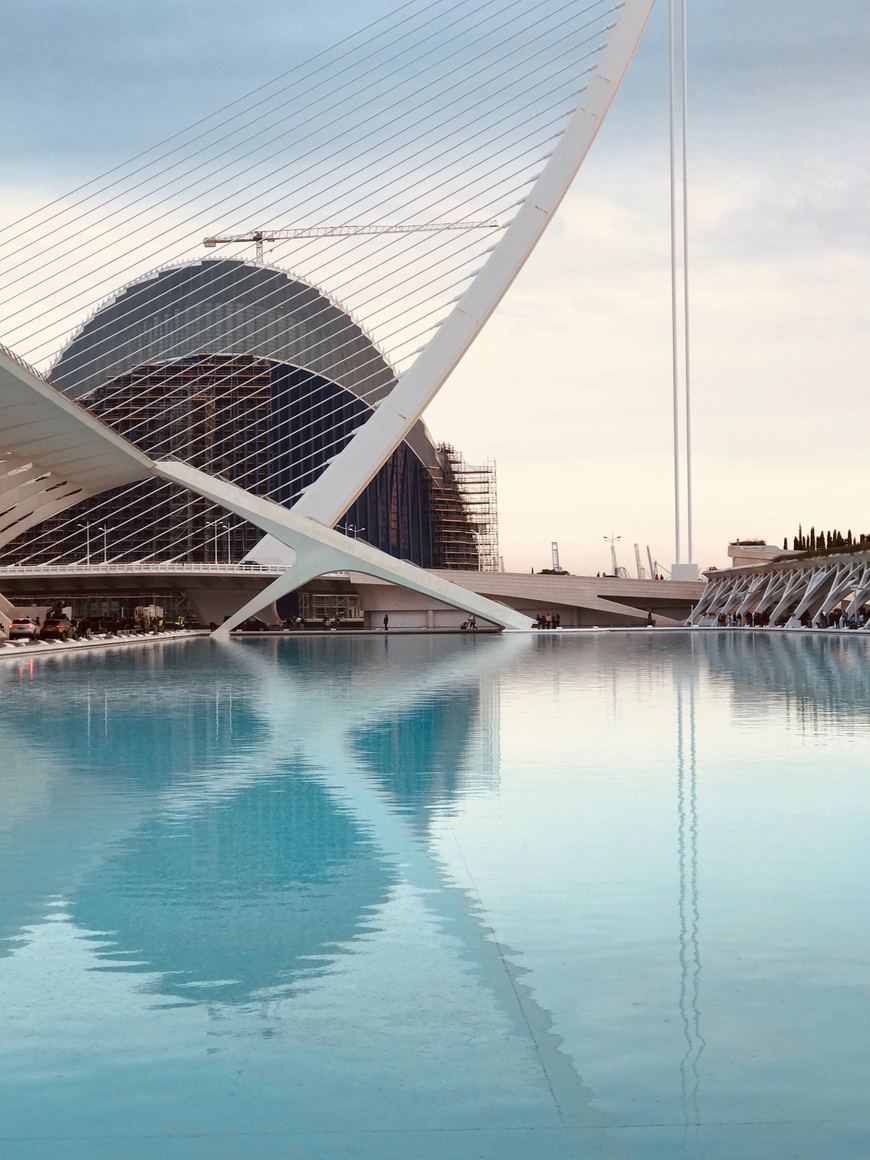 Lugar Ciudad de las Artes y las Ciencias