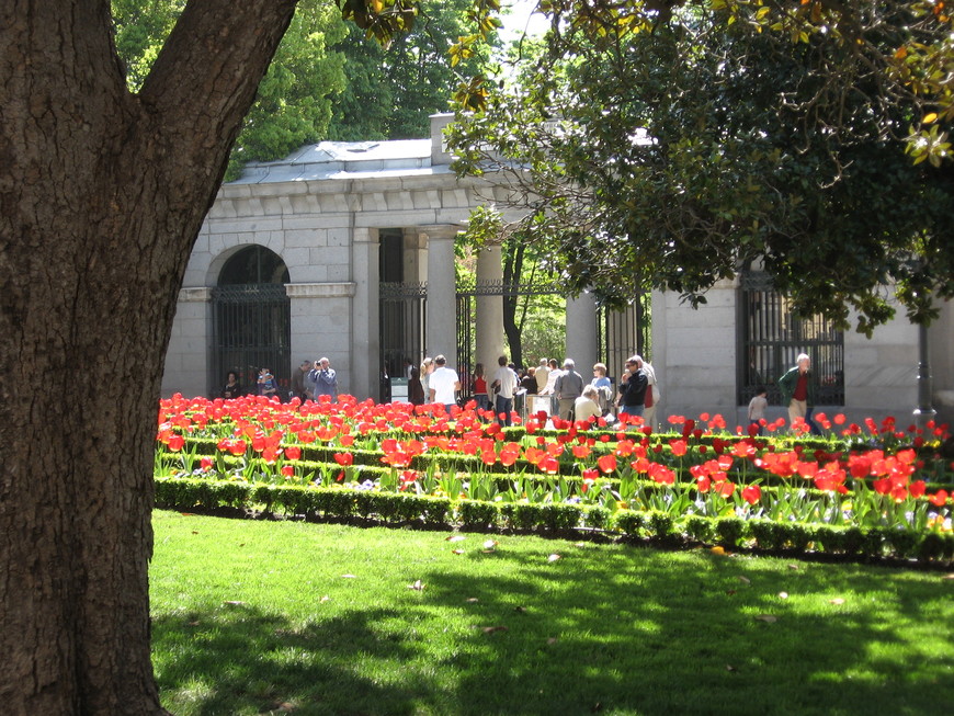 Real Jardín Botánico