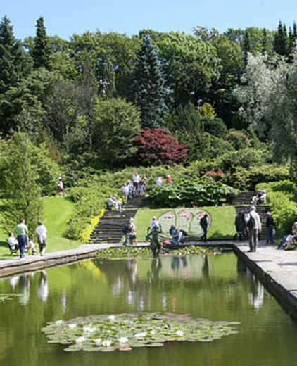 Göteborgs botaniska trädgård