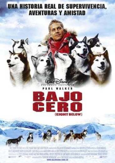 Eight Below